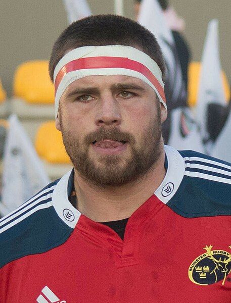 File:CJ Stander 2015.jpg