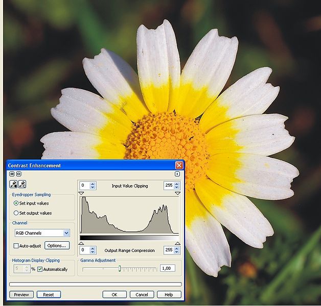 File:Daisy histogram.jpg