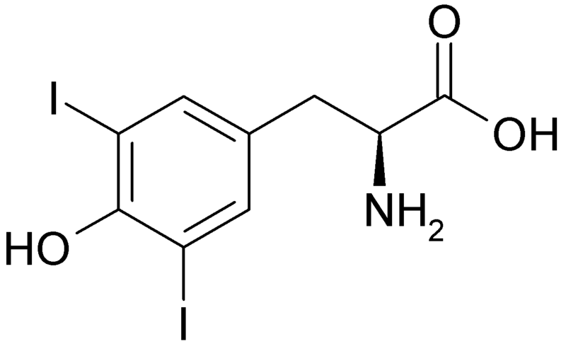 File:Diiodotyrosine.png