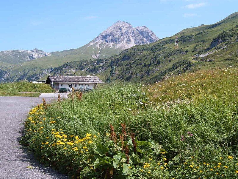 File:Flexenpass.jpg