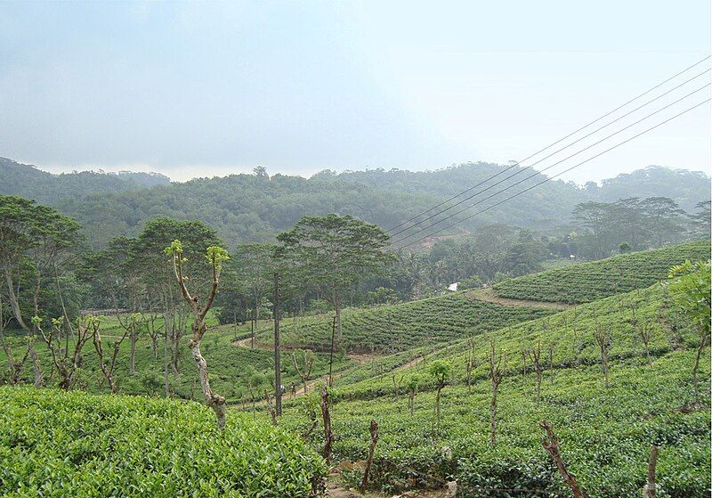 File:Ingiriya Agriculture02.JPG