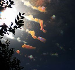 An occurrence of cloud iridescence with altocumulus volutus and cirrocumulus stratiformis