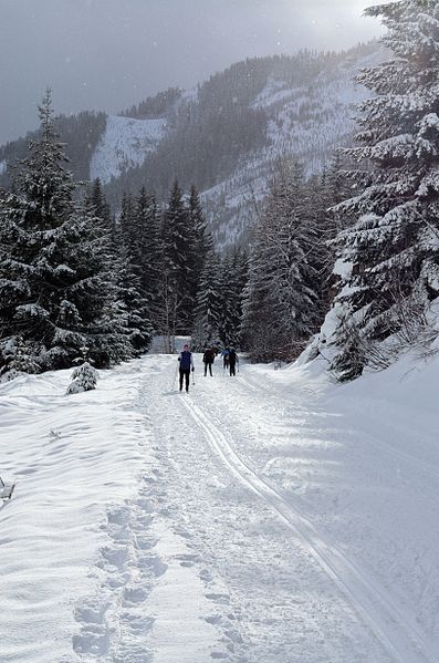 File:IronHorseStateParkTrailXCSkiing.JPG