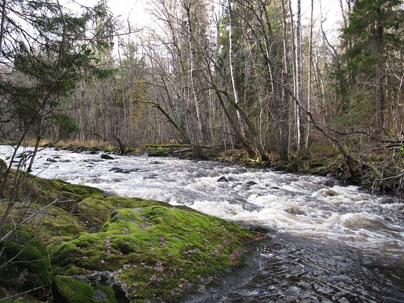 File:Långforsen Järleån.JPG