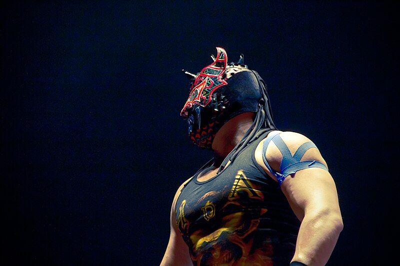 File:Lucha libre (6509321463).jpg