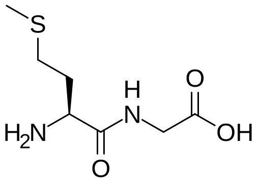 File:Methionylglycine.svg