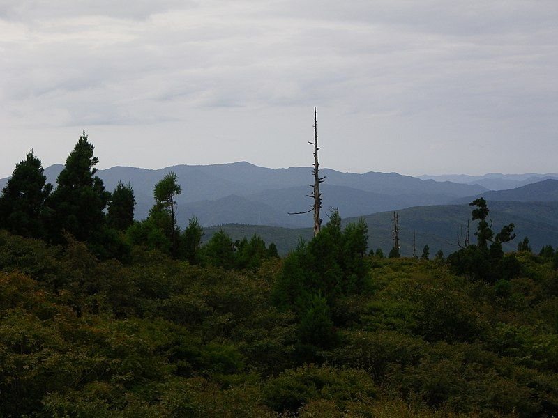 File:Mt.Jakuchisan.jpg