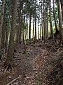 A view on the route to Mount Shisuniwa