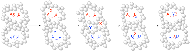 File:Solventcagelongfinal.png