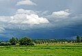 View of the Somerset Levels from the River Parrett Trail