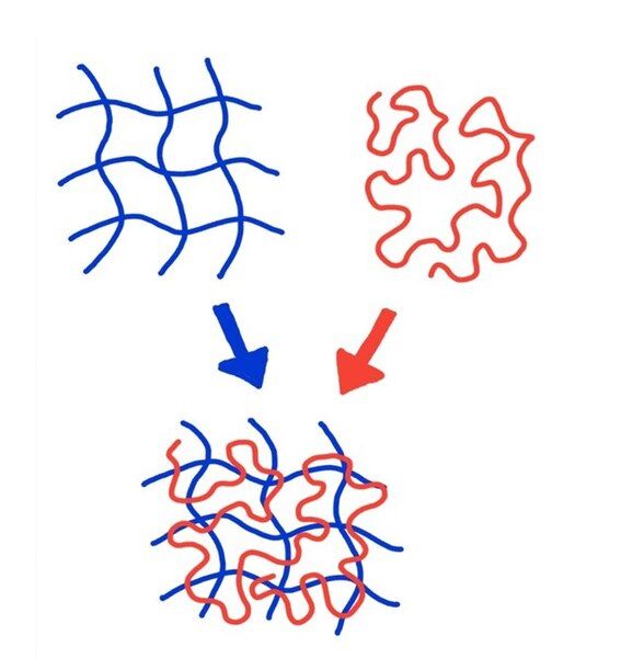 File:Co Hydrogel Structure.jpg