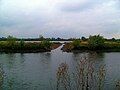 The larger lake viewed across the lower Tame from the National Memorial Arboretum, showing a connecting channel, allowing flood water to flow between river and lake.