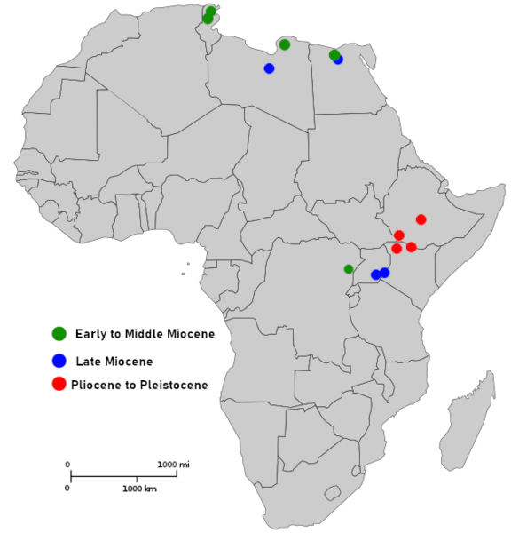 File:Euthecodon Range map.png