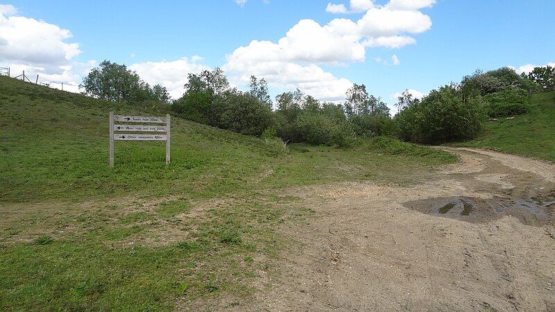 File:Kempton Nature Reserve.JPG