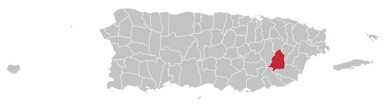 File:Locator-map-Puerto-Rico-San-Lorenzo.svg