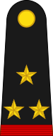 File:Mexico army OF5.svg