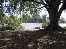 Photograph of a public park in West End, Brisbane