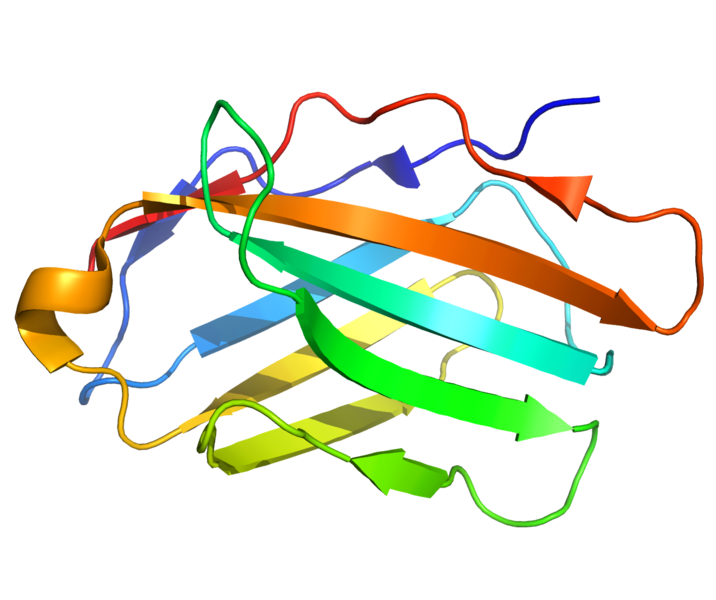 File:PDB 1YJD C.png