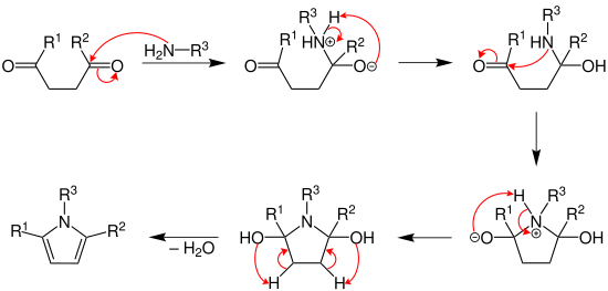 Paal–Knorr pyrrole synthesis mechanism