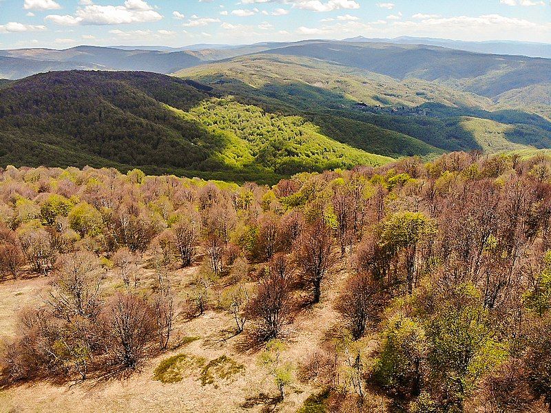 File:Planina Ostrozub 10.jpg