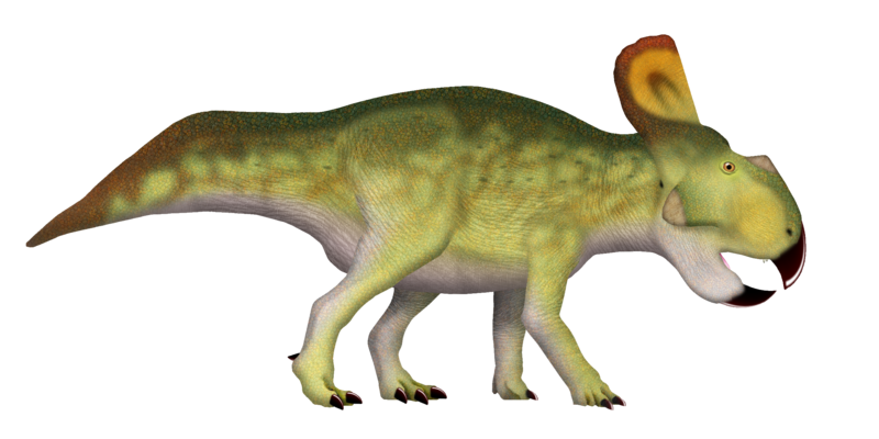 File:Protoceratops UDL.png