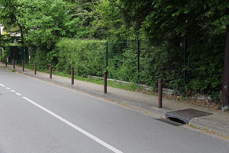 File:Rue Buisson Moineau.jpg