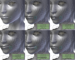 In this example from the open source project Sintel, four facial expressions have been defined as deformations of the face geometry. The mouth is then animated by morphing between these deformations. Dozens of similar controllers are used to animate the rest of the face.