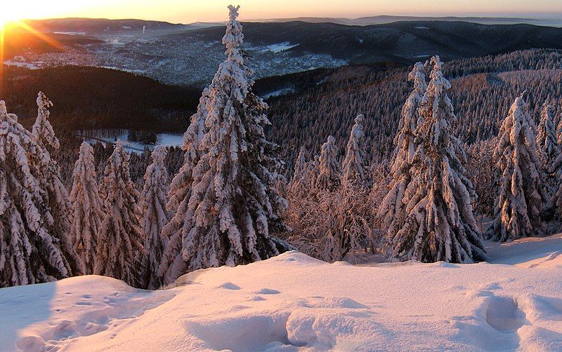 File:Thüringerwald.JPG