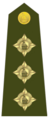 Shoulder rank, Captain (Zimbabwe National Army)