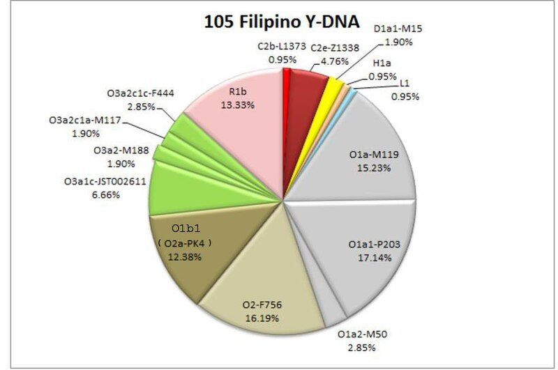 File:105 Filipino Y-DNA.jpg