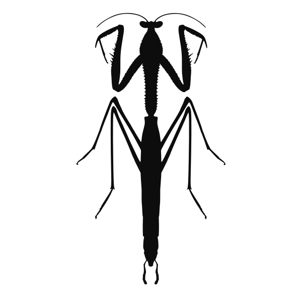 File:Archimantis icon.svg