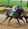 Bayern at the Preakness Stakes, 2014