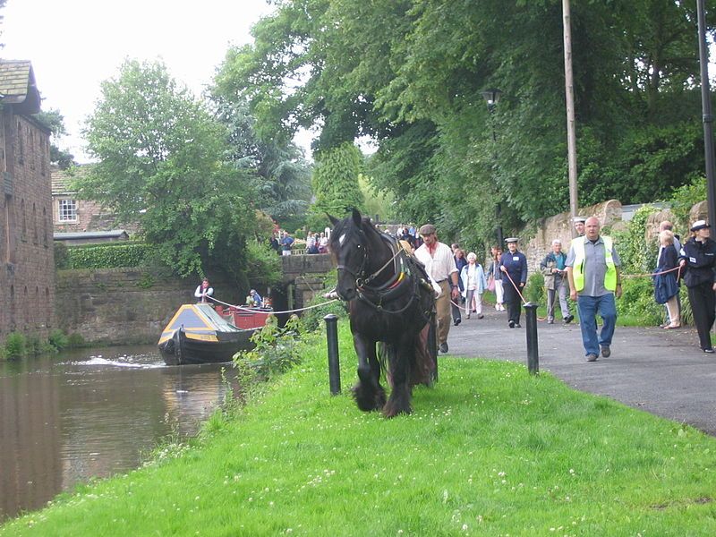 File:Boathorse Queenie2.jpg