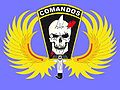 Commando badge