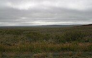 Oldham County ranch land in the Canadian River Valley between Vega and Dalhart (2002)