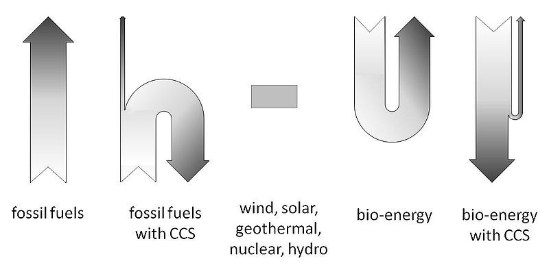 File:Carbon flow.jpg