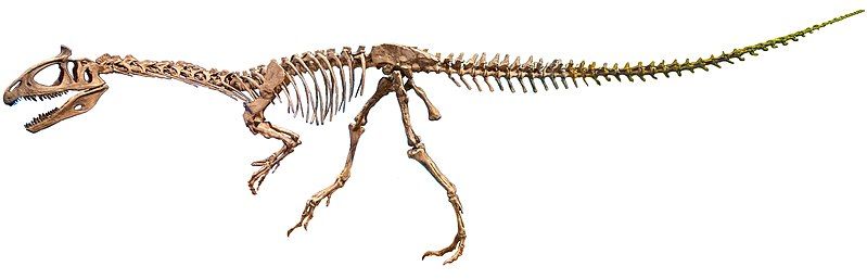 File:Cryolophosaurus skeleton.jpg