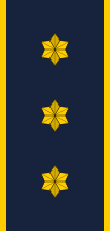 File:Denmark-Firefighter-Deltidsholder m. instruktør.svg