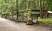 Forest cafe