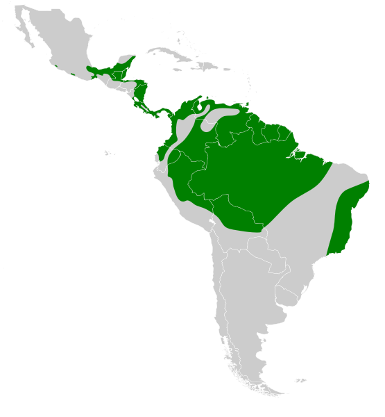 File:Harpagus bidentatus map.svg