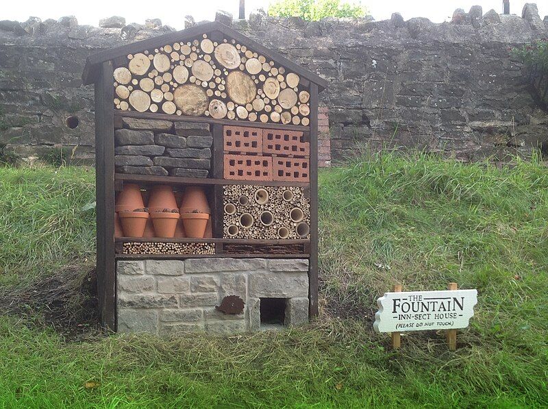 File:Insect house.jpg