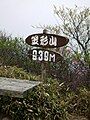 The top of Mount Kasagata (4/2009)