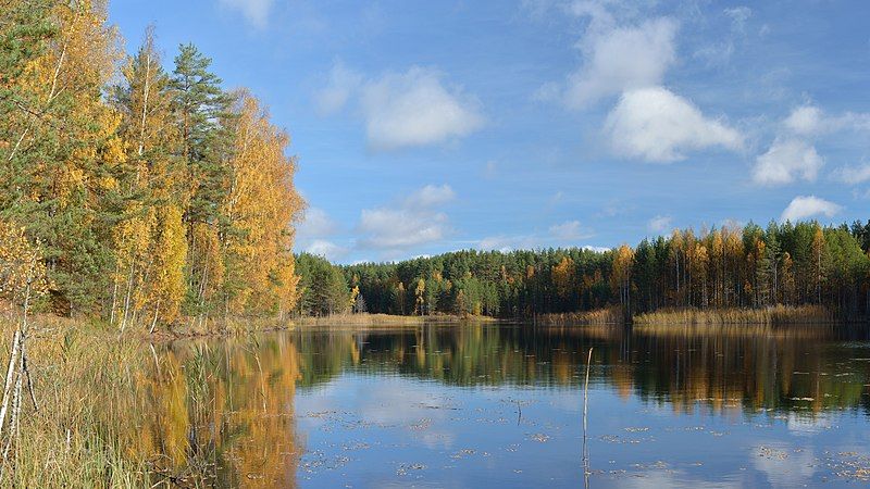 File:Kurtna Ahnejärv.jpg