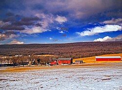 A Lynn Township farm in February 2008