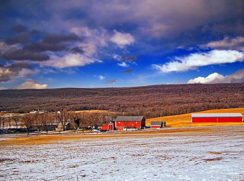 File:Lynn Township farm.jpg