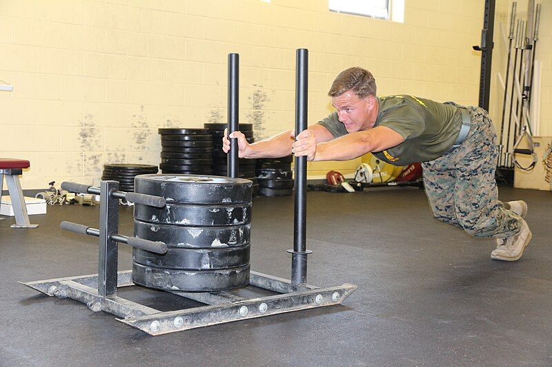 File:Marine sled push.jpg