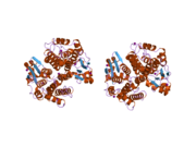 2c3n: HUMAN GLUTATHIONE-S-TRANSFERASE T1-1, APO FORM