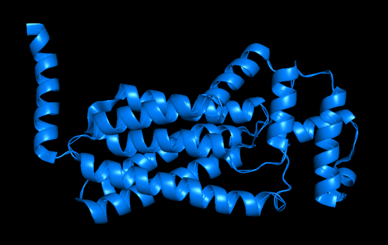 File:PgpB structure.png