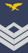 File:Portugal-AirForce-OR-5b.svg