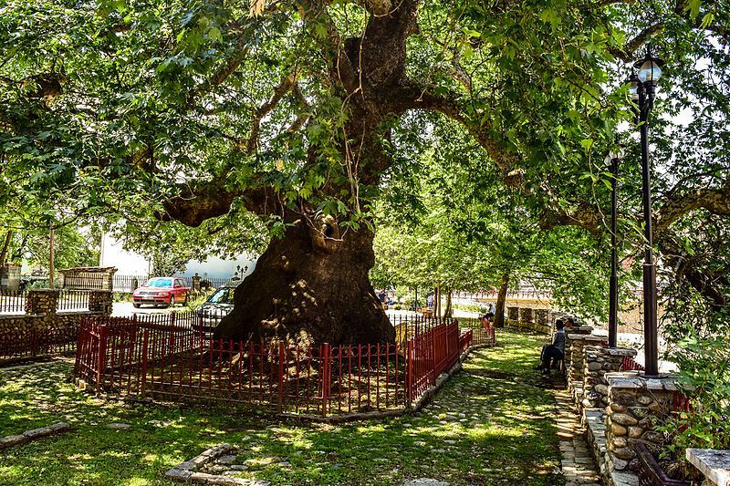 File:Rrapi Prizren6.jpg